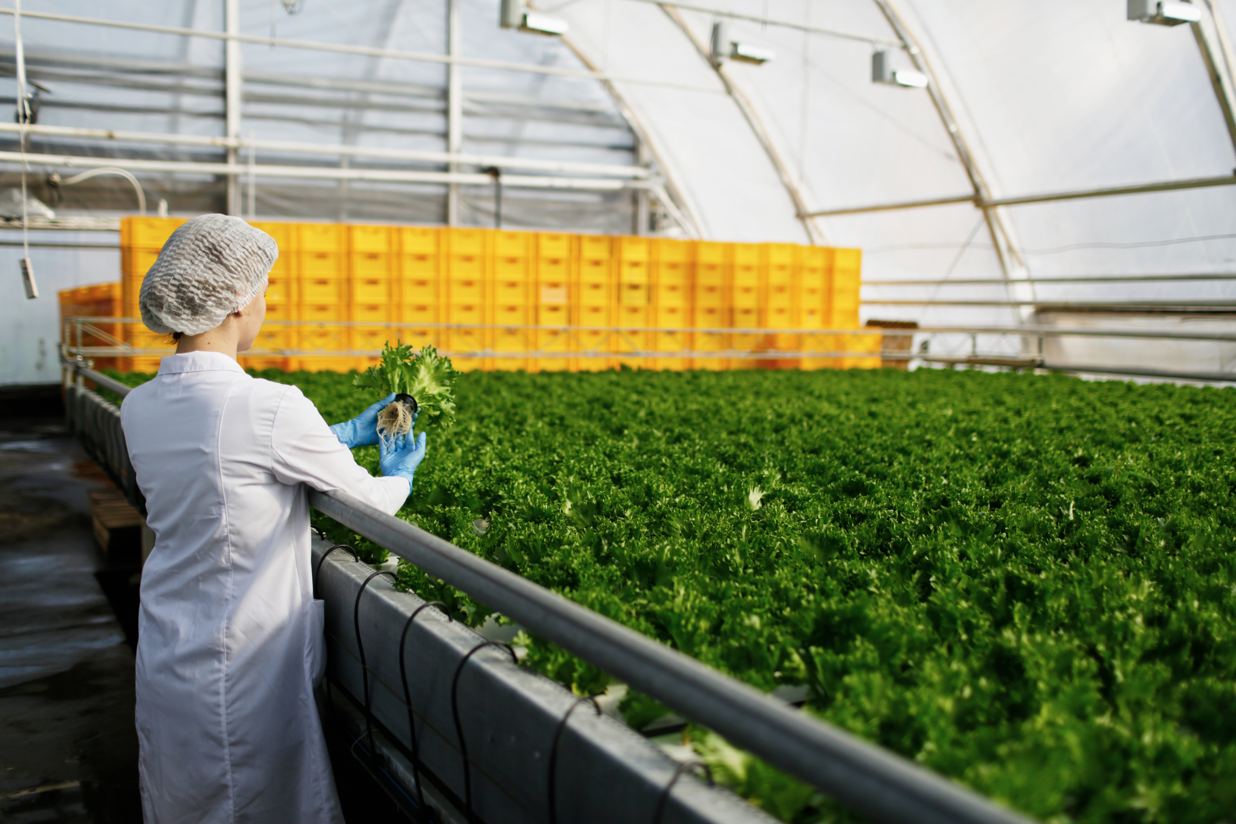 Campo y maquinaria para bioenergía